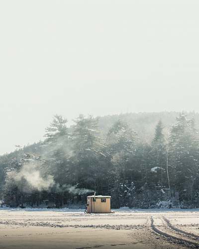 grey white shed surrounded by trees echo lake
